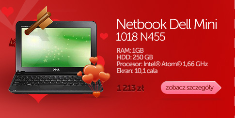 Dell Mini 1018 N455 1GB 250GB W7S