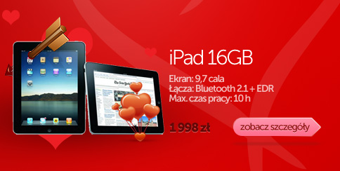 Apple iPad 16GB